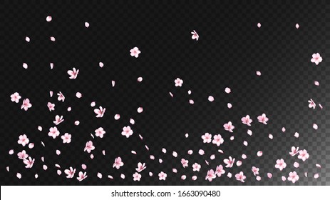 Nice Sakura Blossom Isolated Vector. Tender Flying 3d Petals Wedding Frame. Japanese Nature Flowers Illustration. Valentine, Mother's Day Summer Nice Sakura Blossom Isolated on Black