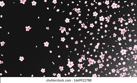 Nice Sakura Blossom Isolated Vector. Magic Blowing 3d Petals Wedding Design. Japanese Nature Flowers Wallpaper. Valentine, Mother's Day Watercolor Nice Sakura Blossom Isolated on Black