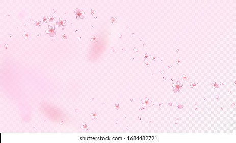 Nice Sakura Blossom Isolated Vector. Spring Blowing 3d Petals Wedding Pattern. Japanese Blooming Flowers Wallpaper. Valentine, Mother's Day Magic Nice Sakura Blossom Isolated on Rose