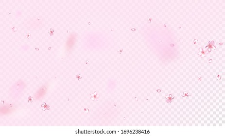 Nice Sakura Blossom Isolated Vector. Pastel Showering 3d Petals Wedding Paper. Japanese Style Flowers Illustration. Valentine, Mother's Day Watercolor Nice Sakura Blossom Isolated on Rose