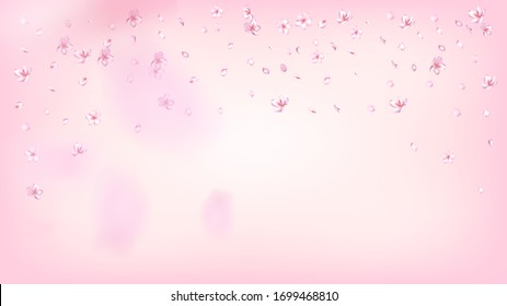 Nice Sakura Blossom Isolated Vector. Magic Flying 3d Petals Wedding Paper. Japanese Beauty Spa Flowers Wallpaper. Valentine, Mother's Day Spring Nice Sakura Blossom Isolated on Rose