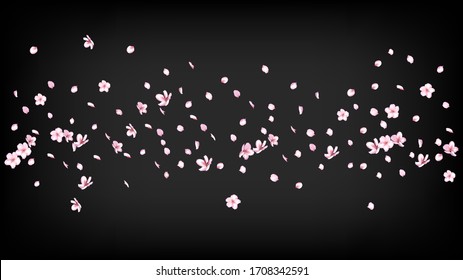 Nice Sakura Blossom Isolated Vector. Tender Showering 3d Petals Wedding Pattern. Japanese Nature Flowers Wallpaper. Valentine, Mother's Day Feminine Nice Sakura Blossom Isolated on Black
