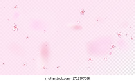 Niza Sakura Blossom Vector Aislado. Papel de bodas de verano volando en 3d Petals. Papel tapiz De Flores Bluradas Japonesas. San Valentín, Pastel Niza Sakura floreciente aislado en rosa