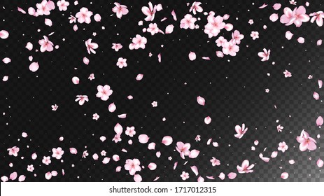 Nice Sakura Blossom Isolated Vector. Summer Flying 3d Petals Wedding Pattern. Japanese Oriental Flowers Illustration. Valentine, Mother's Day Watercolor Nice Sakura Blossom Isolated on Black