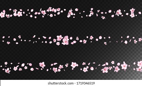 Nice Sakura Blossom Isolated Vector. Watercolor Blowing 3d Petals Wedding Design. Japanese Funky Flowers Wallpaper. Valentine, Mother's Day Realistic Nice Sakura Blossom Isolated on Black