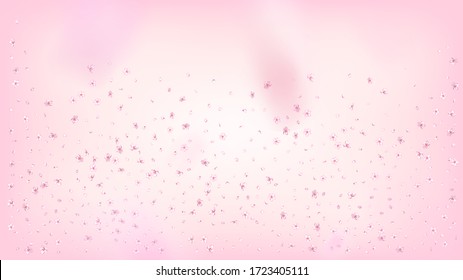 Nice Sakura Blossom Isolated Vector. Magic Falling 3d Petals Wedding Pattern. Japanese Bokeh Flowers Wallpaper. Valentine, Mother's Day Magic Nice Sakura Blossom Isolated on Rose