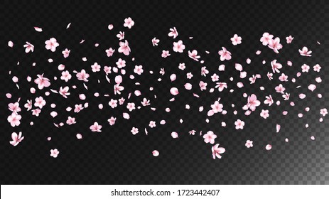 Nice Sakura Blossom Isolated Vector. Summer Blowing 3d Petals Wedding Paper. Japanese Blurred Flowers Illustration. Valentine, Mother's Day Beautiful Nice Sakura Blossom Isolated on Black