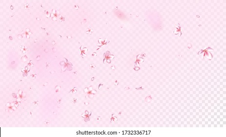 Nice Sakura Blossom Isolated Vector. Feminine Showering 3d Petals Wedding Texture. Japanese Blurred Flowers Illustration. Valentine, Mother's Day Beautiful Nice Sakura Blossom Isolated on Rose