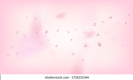 Bonito Vector Aislado Sakura Blossom. Magia Mostrando la frontera de la boda 3d Petals. La Naturaleza Japonesa Flora Ilustración. San Valentín, el día de la madre, hermosa explosión de Sakura en Niza aislada en rosa