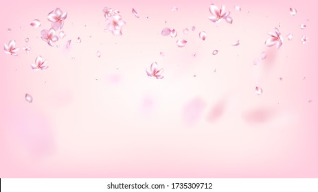 Nice Sakura Blossom Isolated Vector. Summer Flying 3d Petals Wedding Border. Japanese Nature Flowers Illustration. Valentine, Mother's Day Spring Nice Sakura Blossom Isolated on Rose