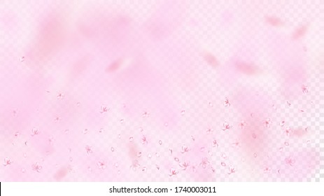 Nice Sakura Blossom Isolated Vector. Realistic Showering 3d Petals Wedding Frame. Japanese Beauty Spa Flowers Illustration. Valentine, Mother's Day Magic Nice Sakura Blossom Isolated on Rose