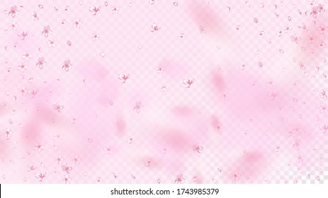 Nice Sakura Blossom Isolated Vector. Tender Falling 3d Petals Wedding Frame. Japanese Funky Flowers Wallpaper. Valentine, Mother's Day Feminine Nice Sakura Blossom Isolated on Rose