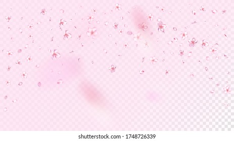 Nice Sakura Blossom Isolated Vector. Spring Flying 3d Petals Wedding Texture. Japanese Style Flowers Illustration. Valentine, Mother's Day Summer Nice Sakura Blossom Isolated on Rose