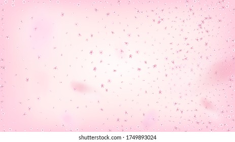 Nice Sakura Blossom Isolated Vector. Tender Falling 3d Petals Wedding Border. Japanese Beauty Spa Flowers Wallpaper. Valentine, Mother's Day Feminine Nice Sakura Blossom Isolated on Rose