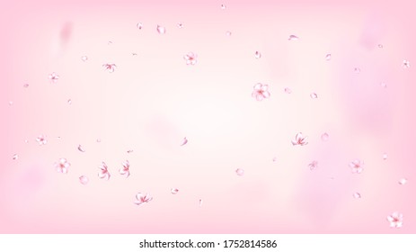 Nice Sakura Blossom Isolated Vector. Pastel Falling 3d Petals Wedding Border. Japanese Beauty Spa Flowers Illustration. Valentine, Mother's Day Beautiful Nice Sakura Blossom Isolated on Rose