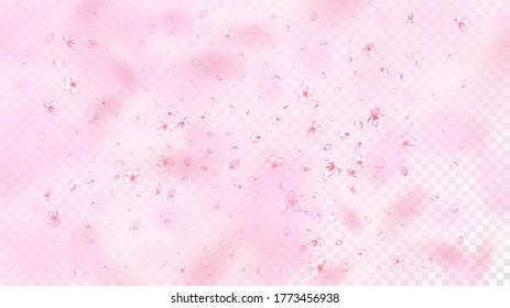 Nice Sakura Blossom Isolated Vector. Beautiful Flying 3d Petals Wedding Border. Japanese Gradient Flowers Wallpaper. Valentine, Mother's Day Tender Nice Sakura Blossom Isolated on Rose