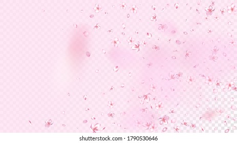 Nice Sakura Blossom Isolated Vector. Spring Flying 3d Petals Wedding Texture. Japanese Style Flowers Wallpaper. Valentine, Mother's Day Spring Nice Sakura Blossom Isolated on Rose