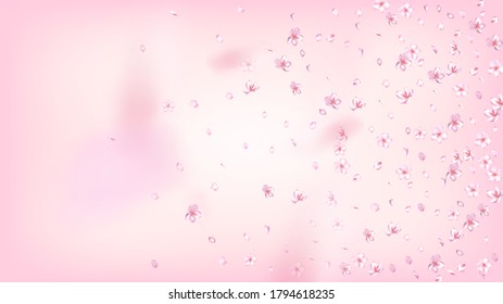 Nice Sakura Blossom Isolated Vector. Tender Flying 3d Petals Wedding Pattern. Japanese Blooming Flowers Wallpaper. Valentine, Mother's Day Magic Nice Sakura Blossom Isolated on Rose