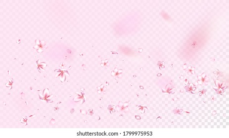 Bonito Vector Aislado Sakura Blossom. Hermoso Borde de Boda de Petales 3d. Fondo de escritorio japonés de flores florecientes. San Valentín, la primavera del día de la madre, la explosión de Sakura en Niza aislada en rosa
