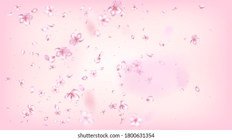 Nice Sakura Blossom Isolated Vektor. Zauberhafte 3D-Petals-Hochzeitsrahmen. Tapete im japanischen Stil mit Blumen. Valentine, Muttertag Frühling Nizza Sakura Blossom einzeln auf Rose