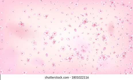 Nice Sakura Blossom Isolated Vector. Summer Falling 3d Petals Wedding Border. Japanese Gradient Flowers Wallpaper. Valentine, Mother's Day Realistic Nice Sakura Blossom Isolated on Rose