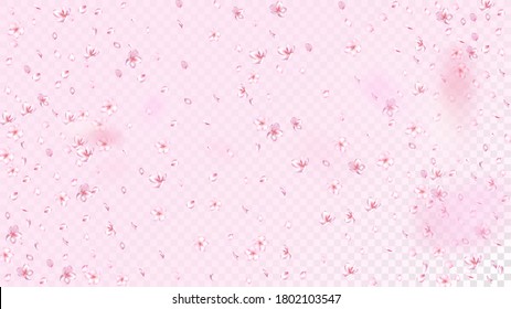 Nice Sakura Blossom Isolated Vector. Feminine Falling 3d Petals Wedding Texture. Japanese Style Flowers Wallpaper. Valentine, Mother's Day Realistic Nice Sakura Blossom Isolated on Rose