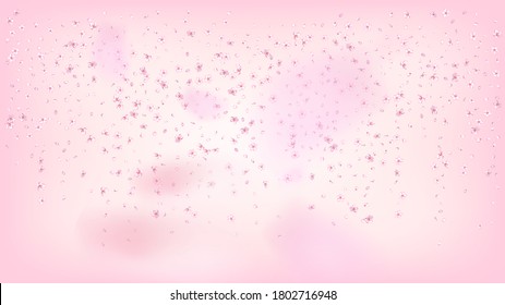Nice Sakura Blossom Isolated Vector. Pastel Falling 3d Petals Wedding Texture. Japanese Nature Flowers Illustration. Valentine, Mother's Day Summer Nice Sakura Blossom Isolated on Rose