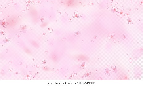 Nice Sakura Blossom Isolated Vector. Pastel Blowing 3d Petals Wedding Border. Japanese Beauty Spa Flowers Illustration. Valentine, Mother's Day Pastel Nice Sakura Blossom Isolated on Rose