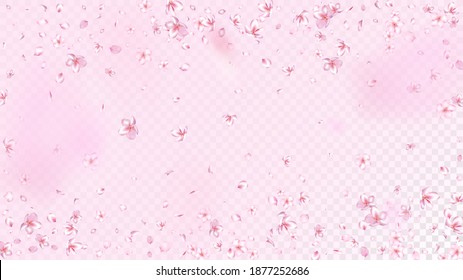 Nice Sakura Blossom Isolated Vector. Watercolor Showering 3d Petals Wedding Paper. Japanese Blooming Flowers Wallpaper. Valentine, Mother's Day Tender Nice Sakura Blossom Isolated on Rose