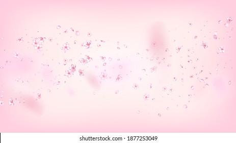 Nice Sakura Blossom Isolated Vector. Spring Falling 3d Petals Wedding Paper. Japanese Blurred Flowers Illustration. Valentine, Mother's Day Magic Nice Sakura Blossom Isolated on Rose