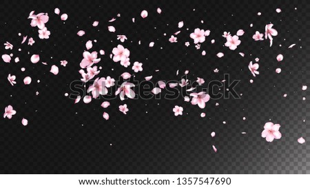Nice Sakura Blossom Isolated Vector. Tender Flying 3d Petals Wedding Design. Japanese Funky Flowers Wallpaper. Valentine, Mother's Day Watercolor Nice Sakura Blossom Isolated on Black