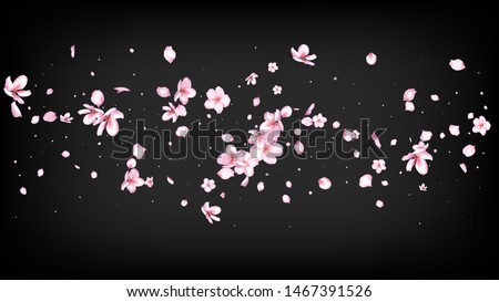 Nice Sakura Blossom Isolated Vector. Pastel Flying 3d Petals Wedding Texture. Japanese Funky Flowers Wallpaper. Valentine, Mother's Day Feminine Nice Sakura Blossom Isolated on Black