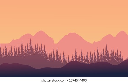 Nice scenery spruce at sunset. City vector
