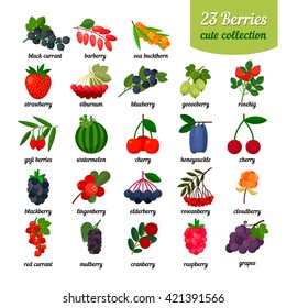 Nice set of different berries