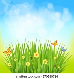 Nice shiny fresh daisy chamomile butterfly flower grass lawn with bokeh blur effect sunshine beam background. Nature spring summer backgrounds collection.