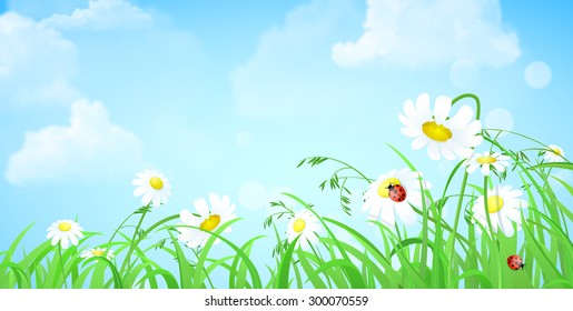 Nice shiny fresh flower grass lawn daisy chamomile ladybug with empty blue skies background. Nature spring summer backgrounds collection.