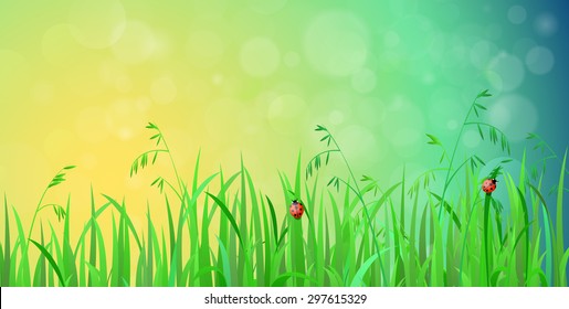 Nice shiny fresh ladybug grass lawn with bokeh blur effect sunshine beam background. Nature spring summer backgrounds collection.