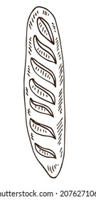 A nice single vector element - french baguette, on the theme of bakery products, baking. Hand-drawn sketch illustrations for the design of restaurants, bakeries, cafes, advertising, prints, emblems.