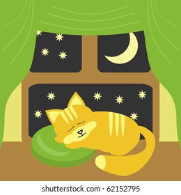 nice sleeping cat near the window