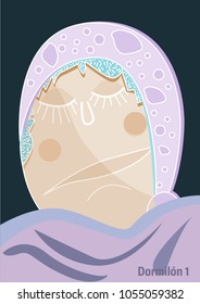 A nice sleeping character.