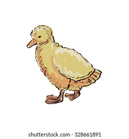 Nice small duckling. Doodle style. Isolated in white background. Excellent vector illustration, EPS 10