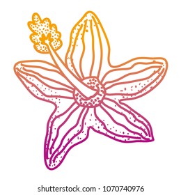 nice spring flower with tropical petals
