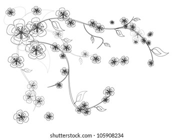 Nice summer flowers