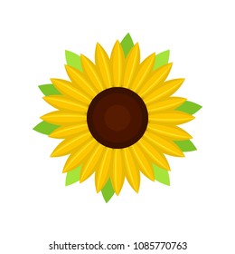 Nice sunflower icon. Flat illustration of nice sunflower vector icon for web