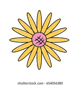 nice sunflower with petals