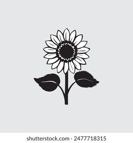 Ein schönes Sonnenblumen-Vektorgrafik-Design