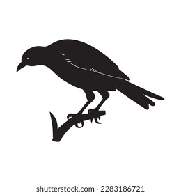 bonito vector imágenes silueta pájaro negro