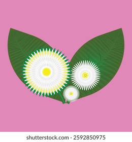 nice white daisy chamomile floral baked flower set with leaf on pink background vector art