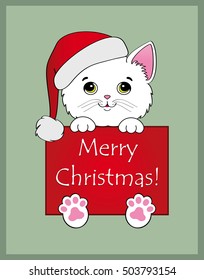 Nice white kitten with card merry christmas on green background
