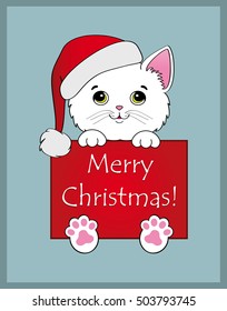 Nice white kitten with card merry christmas on blue background